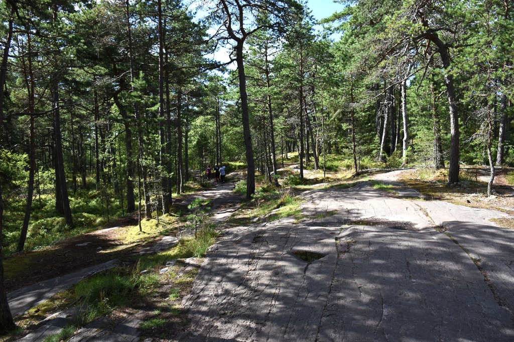 Metsäpolku kohti Pampskatanin pistoa