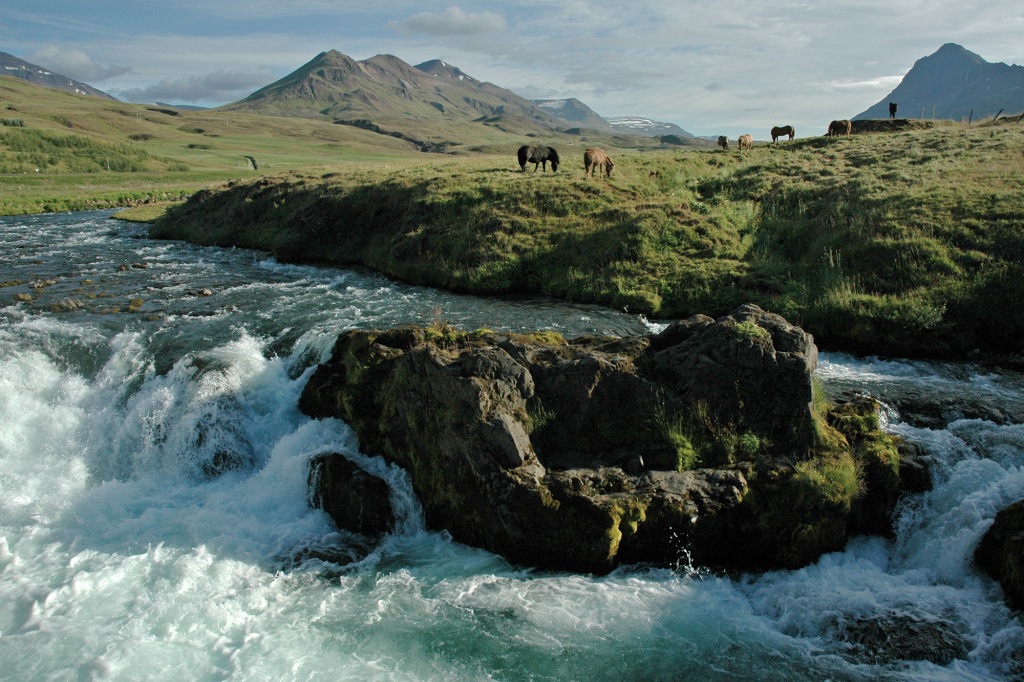 Kuohuva koski Islannin maaseudulla